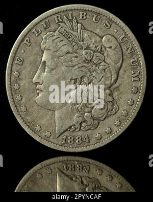 1884 Morgan Silver Dollar vor schwarzem Hintergrund mit Spiegelung Stockfoto