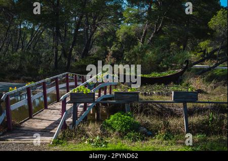 Divjake-Karavasta-Nationalpark in Albanien. Wunderschöne Landschaft. Reisekonzept Stockfoto