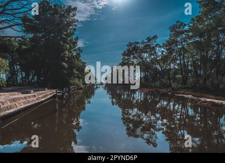 Divjake-Karavasta-Nationalpark in Albanien. Wunderschöne Landschaft. Reisekonzept Stockfoto