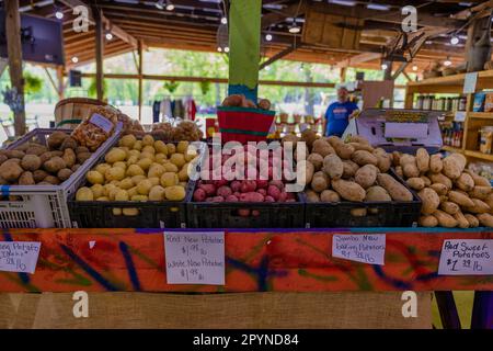 Bryson, North Carolina, USA - 19. April 2023: Darnell Farms Open-Air-Markt, auf dem Kartoffeln in Kunststoffkisten auf einem Tisch verkauft werden. Stockfoto