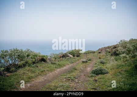 Die einsame Straße erstreckt sich über eine Klippe über dem Ozean, La Gomera, Spanien, Kanarische Inseln Stockfoto