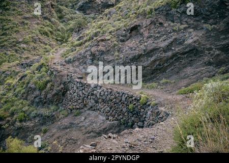 Blick auf einen grünen Hügel, umgeben von üppigen grünen Bäumen und Sträuchern Stockfoto