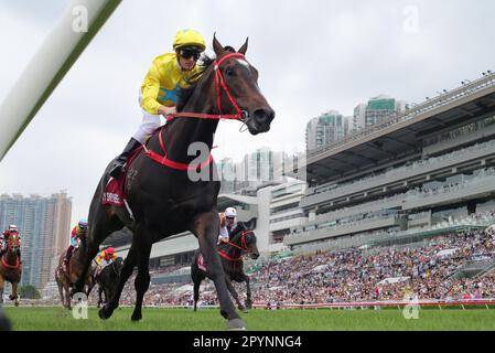 Rennen 5, LUCKY SWEYNESSE, geritten von Zac Purton, gewann DEN CHAIRMAN's SPRINT PREIS (Gruppe 1, 1200m) in Sha Tin. 30. April 23 SCMP/Kenneth Chan. Stockfoto