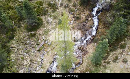 Kleiner Gebirgsbach, welcher sich zwischen den Bäumen durch ins Tal schlängelt Stockfoto