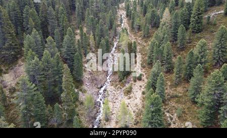 Kleiner Gebirgsbach, welcher sich zwischen den Bäumen durch ins Tal schlängelt Stockfoto