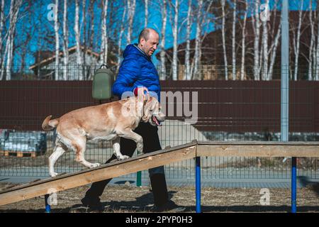 Ein männlicher Hundeführer, Besitzer eines labrador-Retriever-Hundes, trainiert seinen Hund auf einem Trainingsplatz. Stockfoto