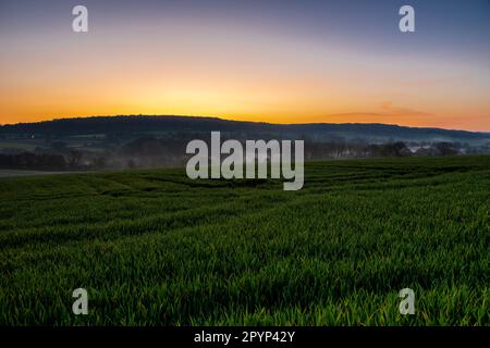 Farbenfroher Sonnenaufgang an einem Sommermorgen mit einem kleinen Nebel auf dem Boden und spektakulärer Aussicht auf die holländischen Hügel in der Nähe des Dorfes Kuttingen Stockfoto