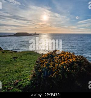 Auf diesem atemberaubenden Foto geht die Sonne hinter dem berühmten Worm's Head unter und strahlt ein goldenes Licht über die ruhige walisische Küste. Der Himmel darüber ist ein Stockfoto