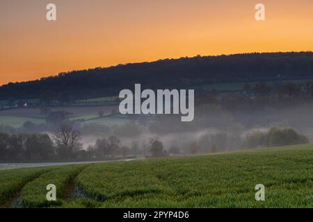 Farbenfroher Sonnenaufgang an einem Sommermorgen mit einem kleinen Nebel auf dem Boden und spektakulärer Aussicht auf die holländischen Hügel in der Nähe des Dorfes Kuttingen Stockfoto
