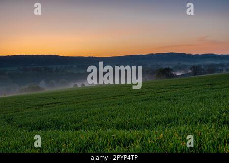 Farbenfroher Sonnenaufgang an einem Sommermorgen mit einem kleinen Nebel auf dem Boden und spektakulärer Aussicht auf die holländischen Hügel in der Nähe des Dorfes Kuttingen Stockfoto