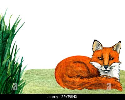 Aquarelle wilder Waldtiere: fuchs auf Waldrasen. Handbemalte Landschaftszeichnung für Kinder, Postkarten, Poster und Aufdruck. Clip Stockfoto