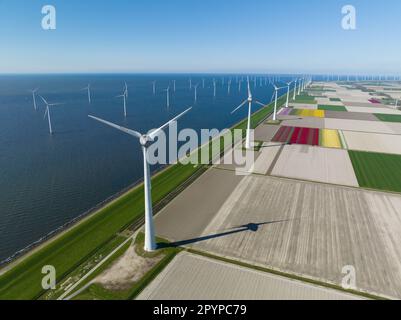 Spektakuläre Aufnahmen von Windturbinen, die sich über Felder mit lebendigen Tulpen in der niederländischen Landschaft erheben. Stockfoto