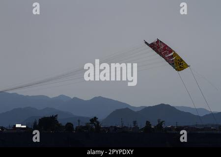 Sagamihara, Japan, Mai 5. 2023, Ein großer Drachen fliegt beim Sagami Giant Kite Festival (Sagami-no-Oodako) Sagamihara. Das Sagami Giant Kite Festival begann in den 1830er Jahren als Ergänzung zum Children's Festival, das am 5. Mai in japan gefeiert wird. Mit der Zeit sind die Drachen, die aus Bambus und handgemachtem Papier bestehen, größer geworden. Die größten Drachen, die während dieses Festivals vom Flussufer der Sagami geflogen wurden, sind etwa 15 Meter lang und können über 900 Kilogramm wiegen. Ein Team von 80 bis 100 Personen braucht sie, um sie in die Luft zu jagen. Stockfoto