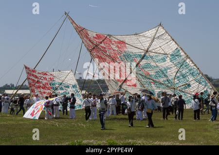 Sagamihara, Japan, Mai 5. 2023, große Drachen auf dem Sagami Giant Kite Festival (Sagami-no-Oodako) Sagamihara. Das Sagami Giant Kite Festival begann in den 1830er Jahren als Ergänzung zum Children's Festival, das am 5. Mai in japan gefeiert wird. Mit der Zeit sind die Drachen, die aus Bambus und handgemachtem Papier bestehen, größer geworden. Die größten Drachen, die während dieses Festivals vom Flussufer der Sagami geflogen wurden, sind etwa 15 Meter lang und können über 900 Kilogramm wiegen. Ein Team von 80 bis 100 Personen braucht sie, um sie in die Luft zu jagen. Stockfoto