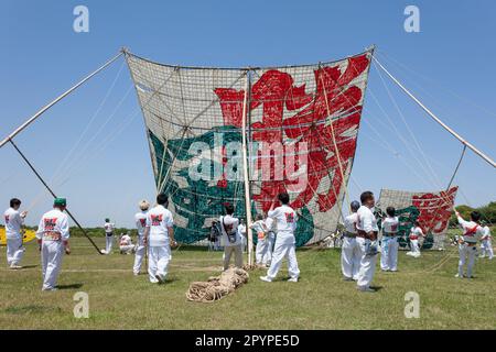 Sagamihara, Japan, Mai 5. 2023 bereiten Fans des Festivals einen großen Drachen zum Fliegen beim Sagami Giant Kite Festival (Sagami-no-Oodako) Sagamihara vor. Das Sagami Giant Kite Festival begann in den 1830er Jahren als Ergänzung zum Children's Festival, das am 5. Mai in japan gefeiert wird. Mit der Zeit sind die Drachen, die aus Bambus und handgemachtem Papier bestehen, größer geworden. Die größten Drachen, die während dieses Festivals vom Flussufer der Sagami geflogen wurden, sind etwa 15 Meter lang und können über 900 Kilogramm wiegen. Ein Team von 80 bis 100 Personen braucht sie, um sie in die Luft zu jagen. Stockfoto