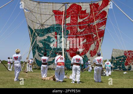 Sagamihara, Japan, Mai 5. 2023 bereiten Fans des Festivals einen großen Drachen zum Fliegen beim Sagami Giant Kite Festival (Sagami-no-Oodako) Sagamihara vor. Das Sagami Giant Kite Festival begann in den 1830er Jahren als Ergänzung zum Children's Festival, das am 5. Mai in japan gefeiert wird. Mit der Zeit sind die Drachen, die aus Bambus und handgemachtem Papier bestehen, größer geworden. Die größten Drachen, die während dieses Festivals vom Flussufer der Sagami geflogen wurden, sind etwa 15 Meter lang und können über 900 Kilogramm wiegen. Ein Team von 80 bis 100 Personen braucht sie, um sie in die Luft zu jagen. Stockfoto