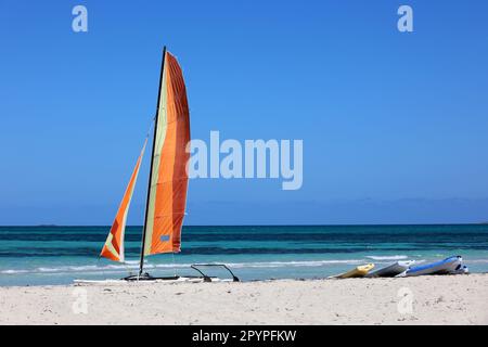 Katamaran-Segelboot auf einem Sand auf blauem Meereshintergrund. Wassersport am Sommerstrand Stockfoto