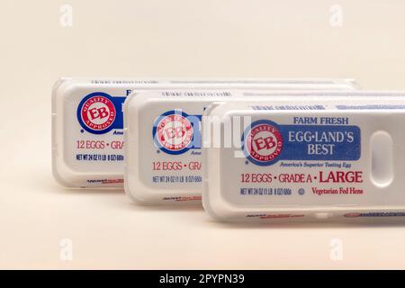 Drei Kartons mit Egg-Land's Best Eiern auf weißem Hintergrund. Stockfoto