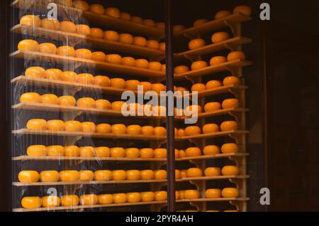 Viele Käseräder auf Regalen im Geschäft, Blick durch Glasfenster Stockfoto