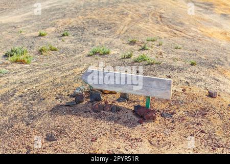 Richtung Holzpfeil in der Wüste. Hölzerner Wegweiser mit Richtungsangabe Stockfoto