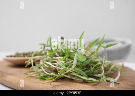 Mungbohnensprossen auf Holzbrett vor hellem Hintergrund, Nahaufnahme Stockfoto