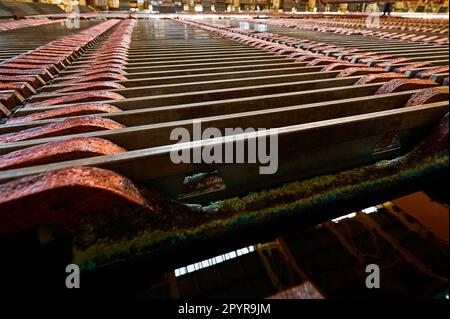 Elektrolysewanne mit installierten Kupferanoden im Werk Stockfoto