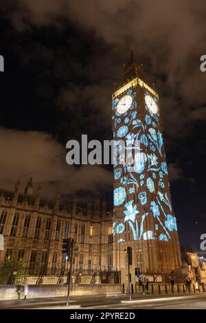 London, Großbritannien. 4. Mai 2023. Big Ben wird beleuchtet, um die Krönung von König Karl III. Zu feiern, die am 6. Mai stattfinden wird. Kredit: Kiki Streitberger / Alamy Live News Stockfoto