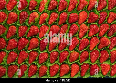 Hintergrund aus erntefrischen Erdbeeren direkt über Stockfoto