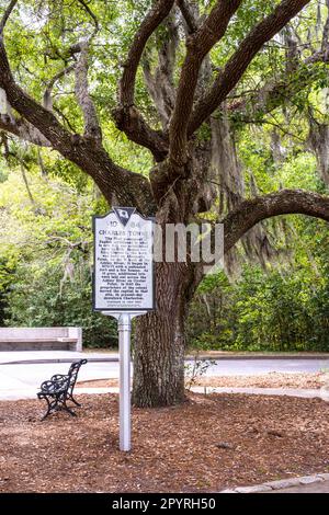 Charles Towne Landing, Charleston, South Carolina Stockfoto