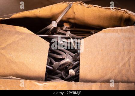 Metallnägel, verpackt in einer Pappschachtel, Nahaufnahme Stockfoto