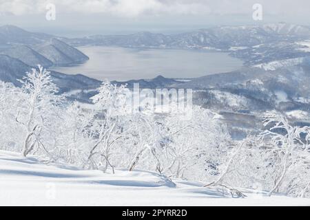 Schneebedeckte Bäume am Berg mit Blick auf den Toya-See, Hokkaido, Japan Stockfoto