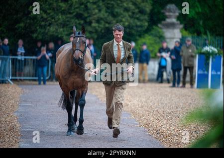 William Fox-Pitt und Grafennacht vertreten GREAT UK. 4. Mai 2023. Während der ersten Pferdeinspektion bei den Badminton Horse Trials 2023, präsentiert von MARS im Badminton House bei Bristol, Gloucestershire, England, Großbritannien. Kredit: Jonathan Clarke/Alamy Live News Stockfoto