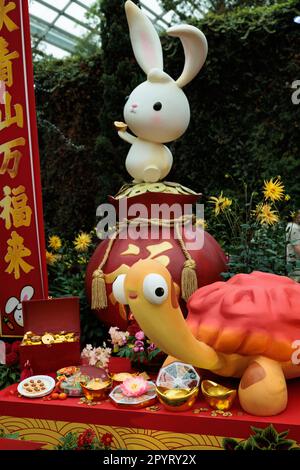 Süßes und bezauberndes Kartoon-ähnliches Kaninchen und Schildkröten, die aus den Blumen in den Gärten an der Bucht hervorgehen Stockfoto