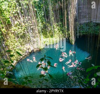 Menschen schwimmen im Kalksteinbecken, Cenote Ik kil, Pisté, Yucatan, Mexiko Stockfoto