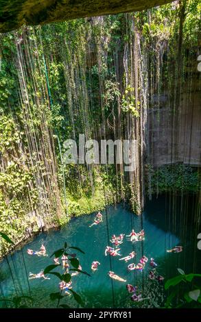 Menschen schwimmen im Kalksteinbecken, Cenote Ik kil, Pisté, Yucatan, Mexiko Stockfoto