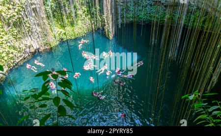 Menschen schwimmen im Kalksteinbecken, Cenote Ik kil, Pisté, Yucatan, Mexiko Stockfoto