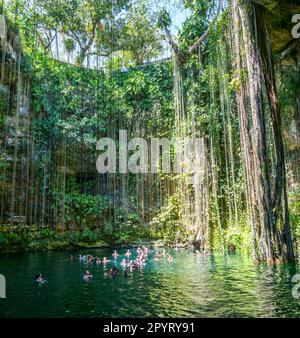 Menschen schwimmen im Kalksteinbecken, Cenote Ik kil, Pisté, Yucatan, Mexiko Stockfoto