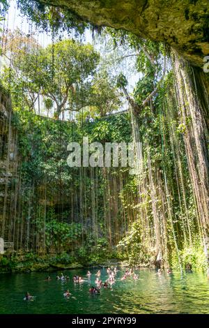 Menschen schwimmen im Kalksteinbecken, Cenote Ik kil, Pisté, Yucatan, Mexiko Stockfoto