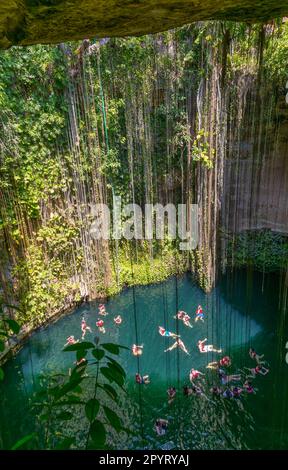 Menschen schwimmen im Kalksteinbecken, Cenote Ik kil, Pisté, Yucatan, Mexiko Stockfoto