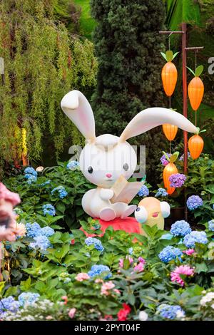 Süßes und bezauberndes Kartoon-ähnliches Kaninchen, das aus den Blumen in den Gärten an der Bucht - Singapur - erwacht Stockfoto