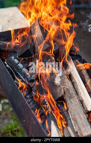 Das Brennholz im Grill brennt mit einer hellen orangefarbenen Flamme. Vorbereitung zum Kochen von Fleisch auf dem Grill in der Natur. Feuer und Rauch Stockfoto