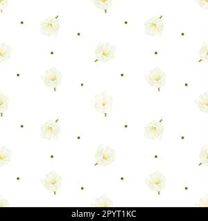 Aquarellmuster mit wunderschönen Blüten weißer Tulpen und Punkten auf weißem Hintergrund. Handgemalte, luxuriöse Blumen. Hohe Qualität Stockfoto