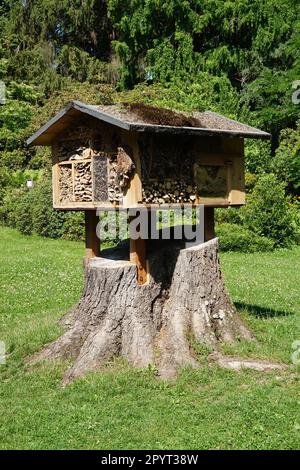 Kleines Insektenhotel im Frühling Stockfoto