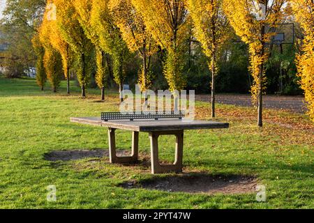 Tischtennis auf dem Rasen in einem Park, Tischtennisplatte im Freien mit fester Netz- und Betonstruktur, Wetter- und windabweisend. Stockfoto