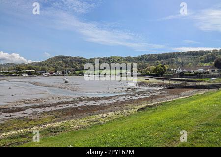 Gezeiten am Ufer des Flusses Tamar mit Blick auf Foss Quay, Lower Anderton Road und Mount Edgcumbe von der Gezeitenbarriere in Millbrook Stockfoto