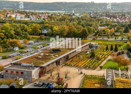 Verkaufsraum des sächsischen Staatsweinhauses Schloss Wackerbarth in Radebeul bei Dresden, Sachsen, Deutschland Stockfoto
