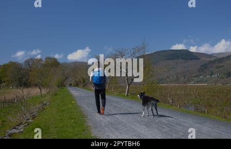 Der Mawddach Estuary Trail in Snowdonia Stockfoto