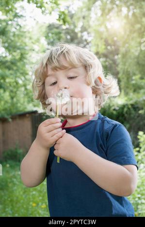 Ein kleiner Junge bläst Löwenzahn, Bayern, Deutschland Stockfoto