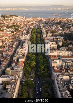 Wunderschöner Blick auf die Liberdade Avenue und die Stadtgebäude Stockfoto