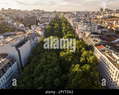 Wunderschöner Blick auf die Liberdade Avenue und die Stadtgebäude Stockfoto